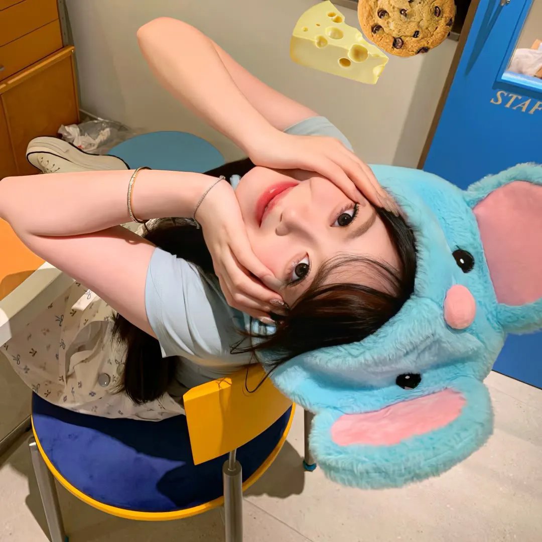 和猪猪一起上课的日子